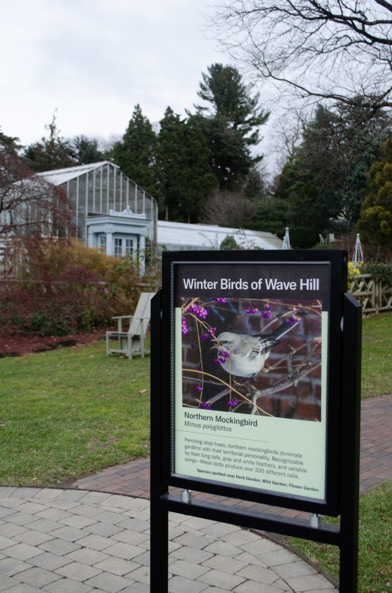 Bird interpretive sign