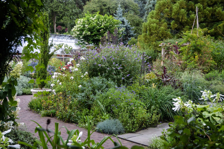 Summer flower garden