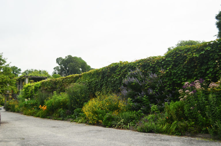 Vitex setting north