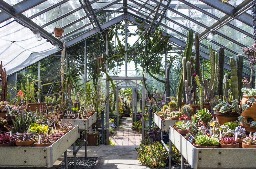2020 spring events Cactus and Succulent House Tour Wave Hill