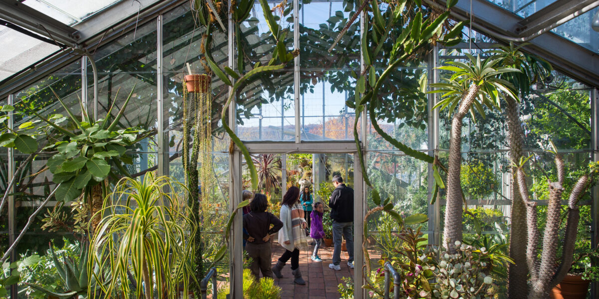 wave-hill_Conservatory-Family-