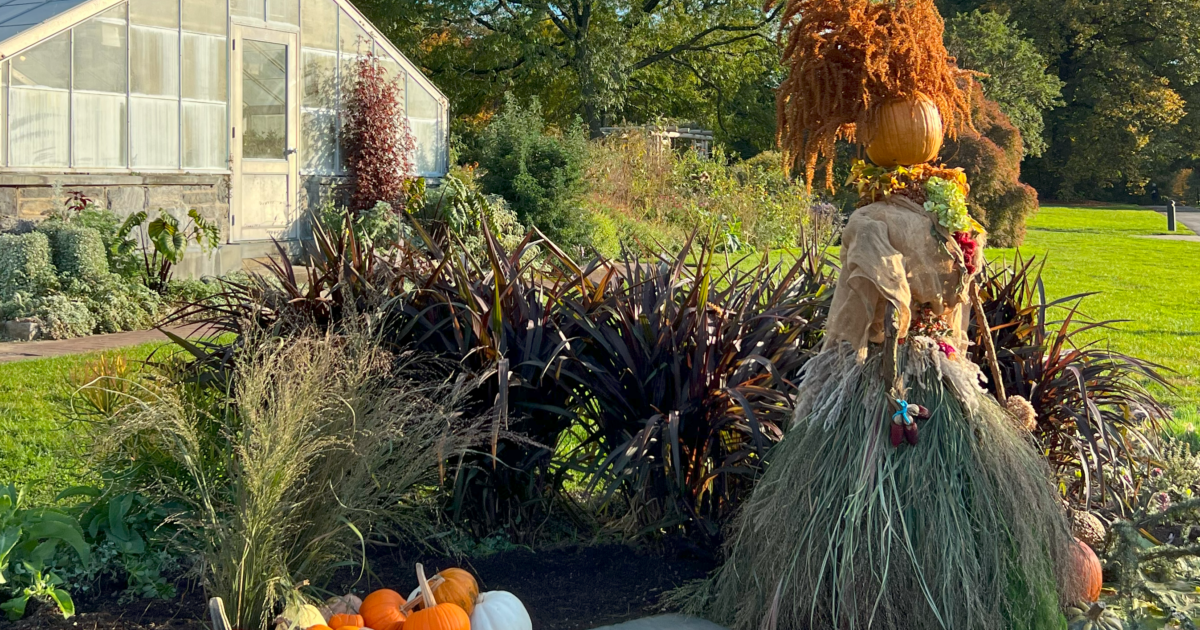 Wave Hill-O-Ween - Wave Hill