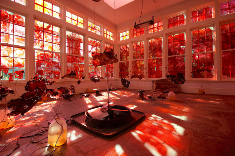 1 photo courtesy of the artist 1