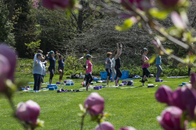 2020 spring events Mothers Day Yoga A Community Yoga Class Joshua Bright 01