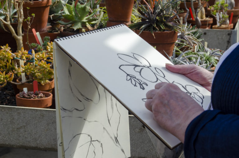 2020 spring events Plants with Personalities Sketching Cacti and Succulents Wave Hill 2