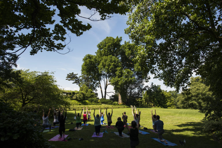 2020 spring events Yoga in the Garden Joshua Bright