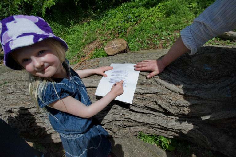 Spring 2022 fap barking up a wave hill tree joshua bright web