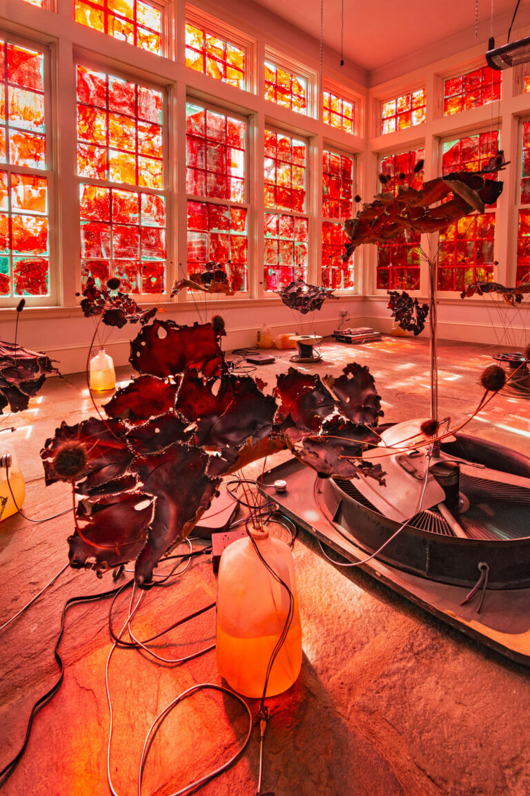 2 Photo by Stefan Hagen 1