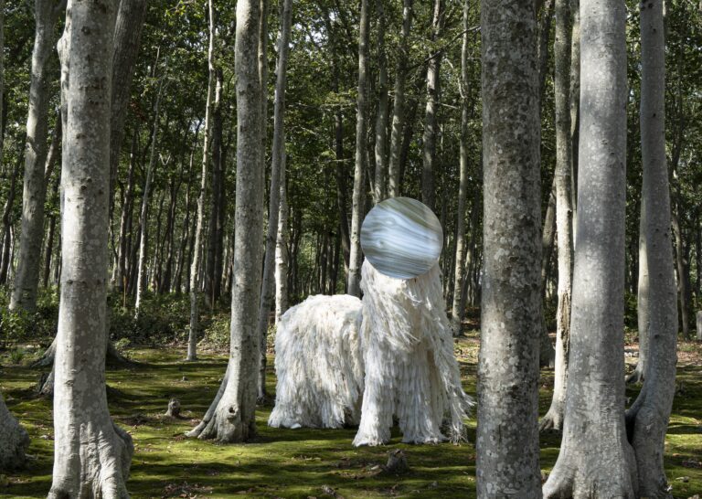 Neither Lion Dog nor Human