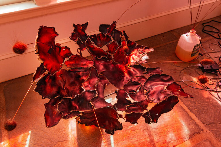 3 Photo by Stefan Hagen 2