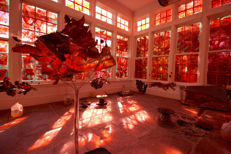 4 photo courtesy of the artist 3