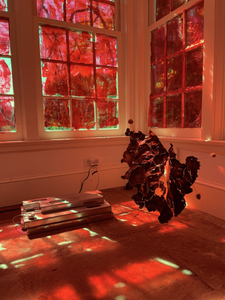 5 photo courtesy of the artist 4