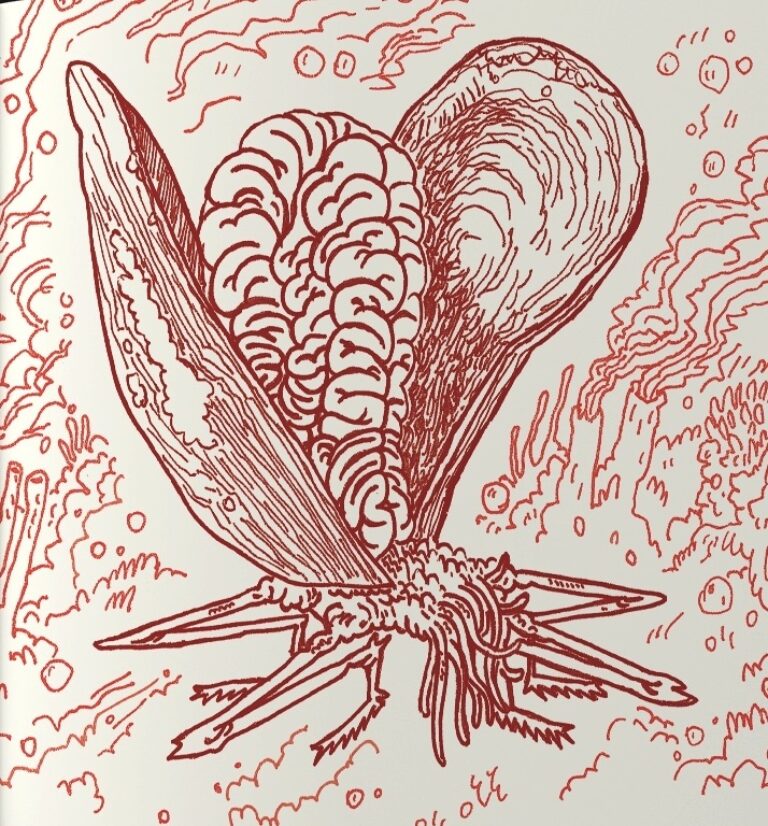 Braimoth Detail The Crypozoological Zine