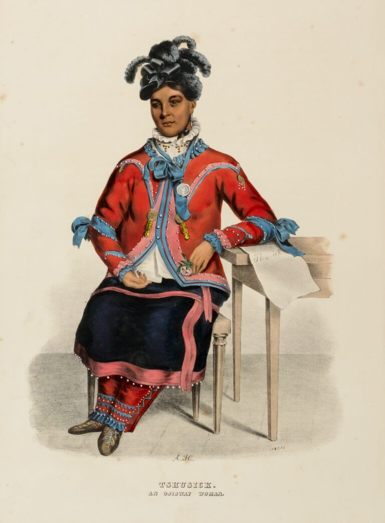 Image of TSHUSICK AN OJIBWAY WOMAN by Alfred M Hoffy