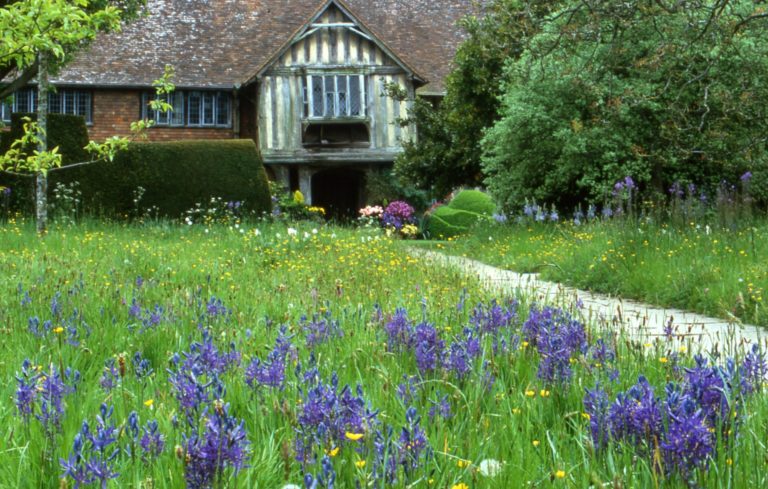 Jonathan Buckley front porch and camassia