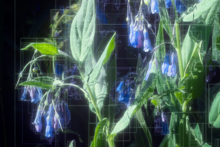 Mark Dorf Late Pastoral04 detail