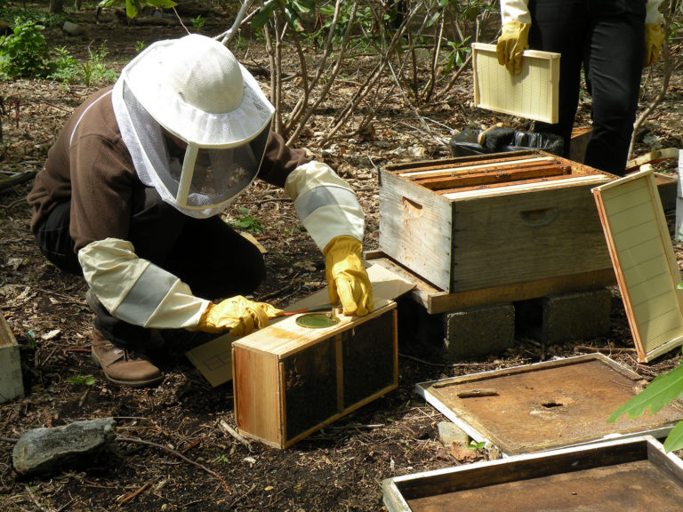 Wave Hill Beginning Beekeeping Workshop credit Wave Hill