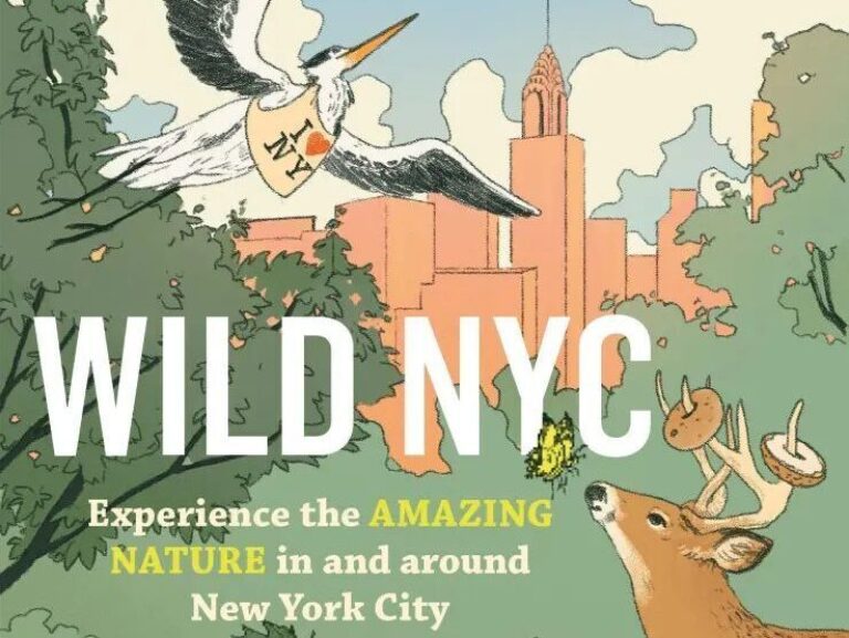 Wild NYC Cover