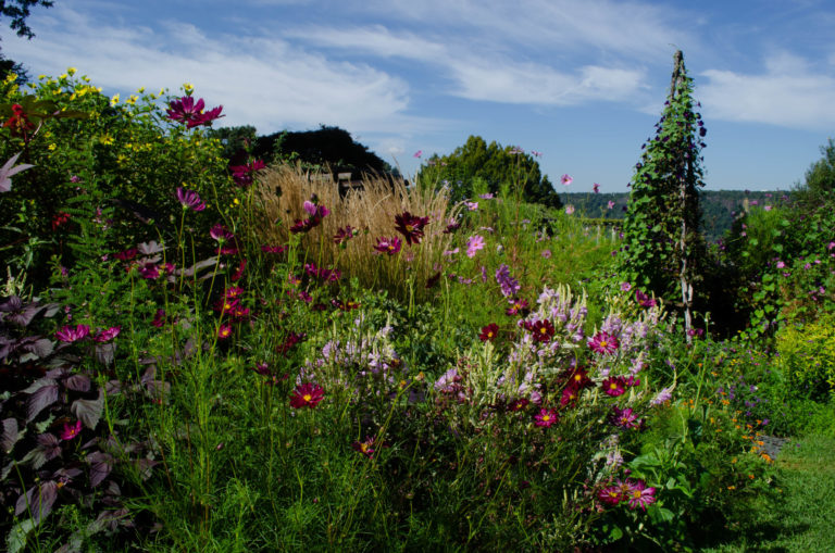 August garden highlights walk credit Wave Hill