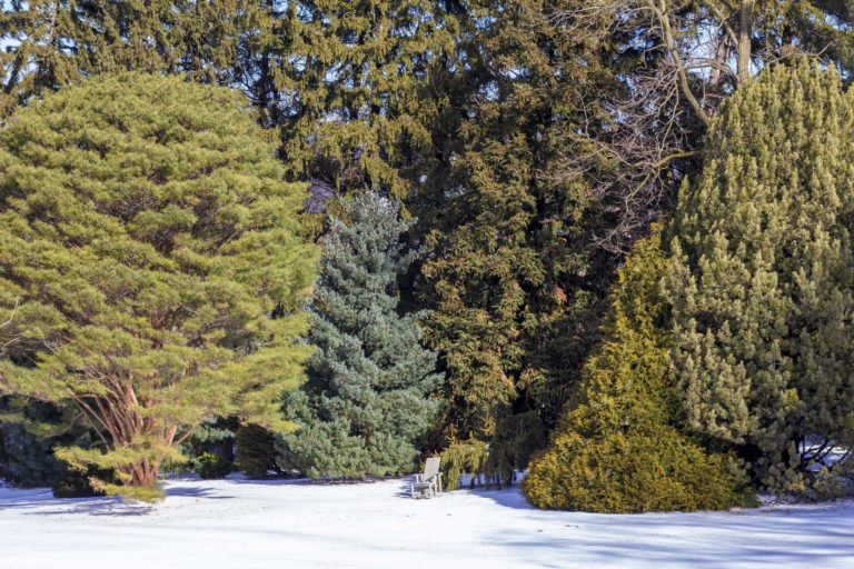 Winter Garden and Conservatory Highlights Walk