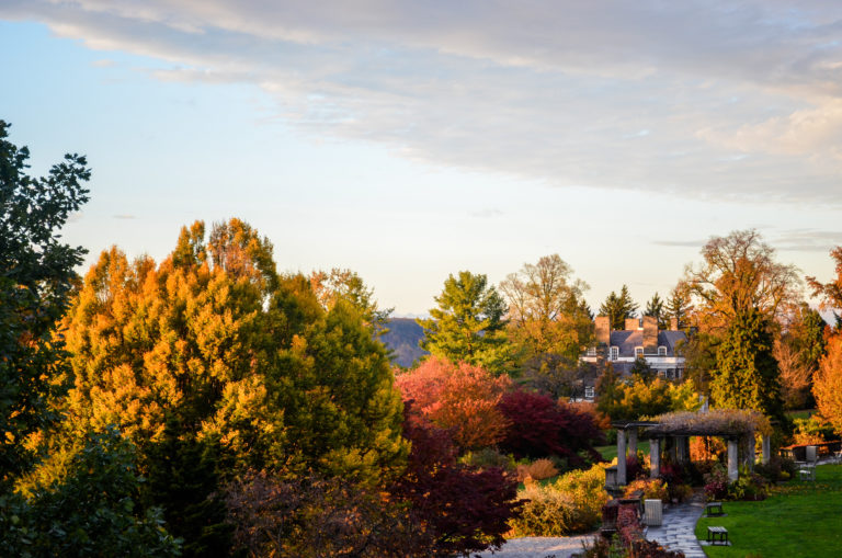 Fall glory