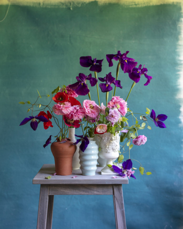 Frances palmer
