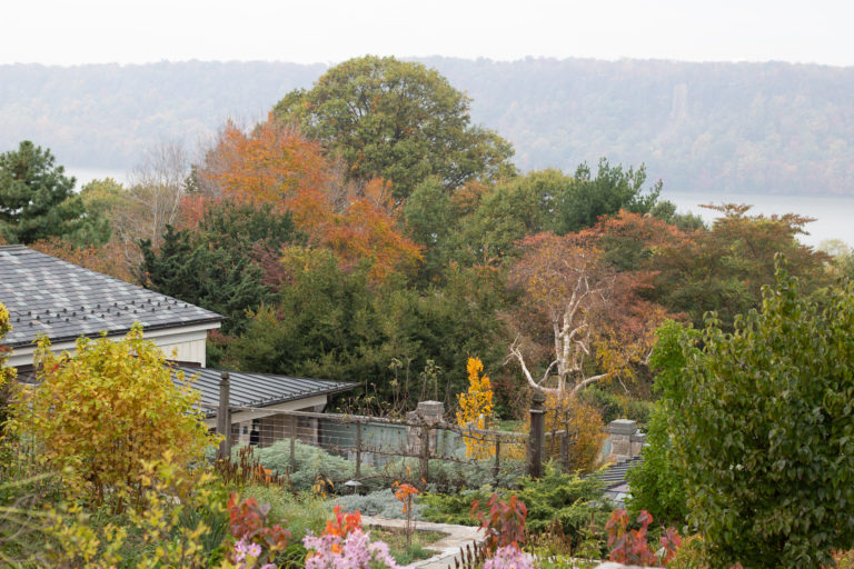 Overview of herb garden