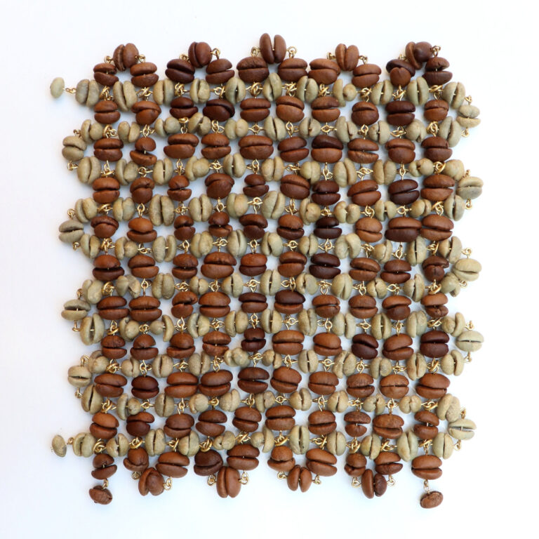 Semilla santa tejido