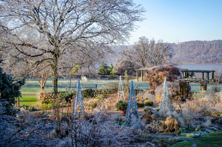 Wave hill Dec Garden and Conservatory Highlights Walk credit Wave Hill md 3