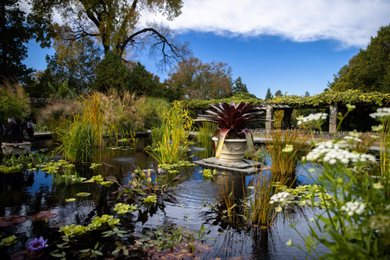 Wave hill Fall Garden Highlights Walk credit Dave Sanders