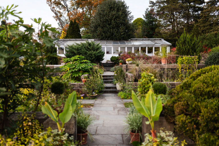 Wave hill Fall Garden Highlights Walk credit Karsten Moran