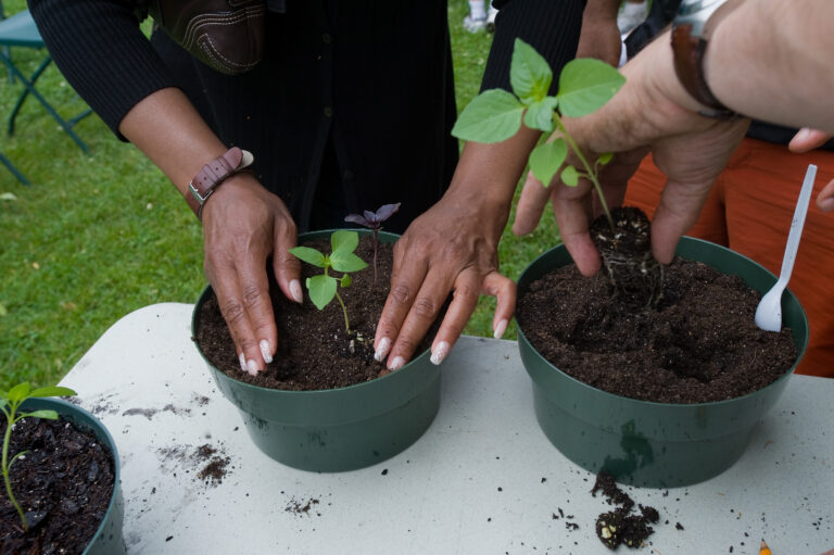 Wave hill Flower Garden Favorites Potting Station credit Joshua Bright