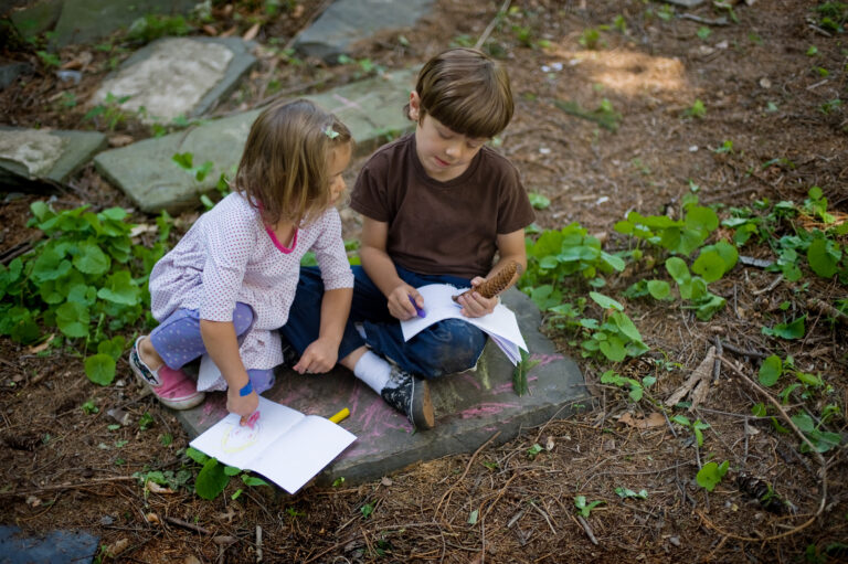 Wave hill Great Trees Coloring Book Station credit Joshua Bright