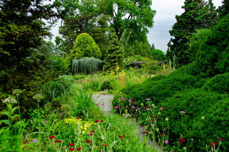 Wave hill June Garden Highlights Walk credit Wave Hill md