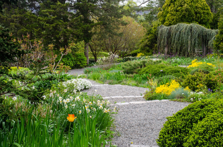 Wave hill May Garden Highlights Walk credit Wave Hill md