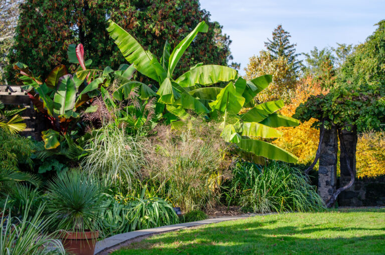 Wave hill October Garden Highlights Walk credit Wave Hill
