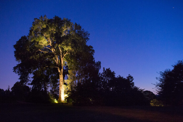 Wave hill Summer Nights Starry Skies credit Joshua Bright