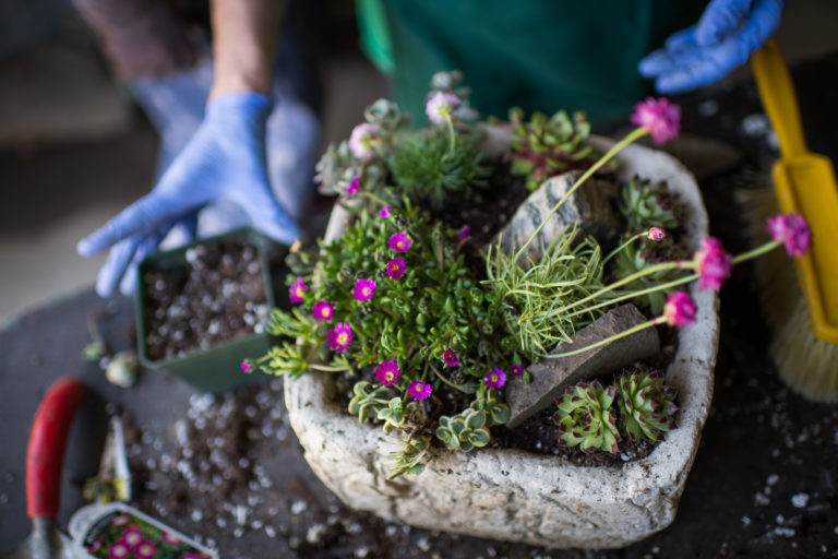 Wave hill Urban Pots Alpine Trough Planting Workshop credit Joshua Bright md