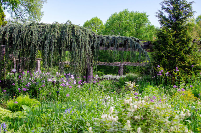 Wave hill Walk with the Director of Horticulture Spring in the Garden credit Wave Hill md