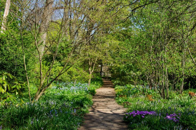 Wave hill Walks with the Gardeners Spring Shade Border credit Wave Hill md