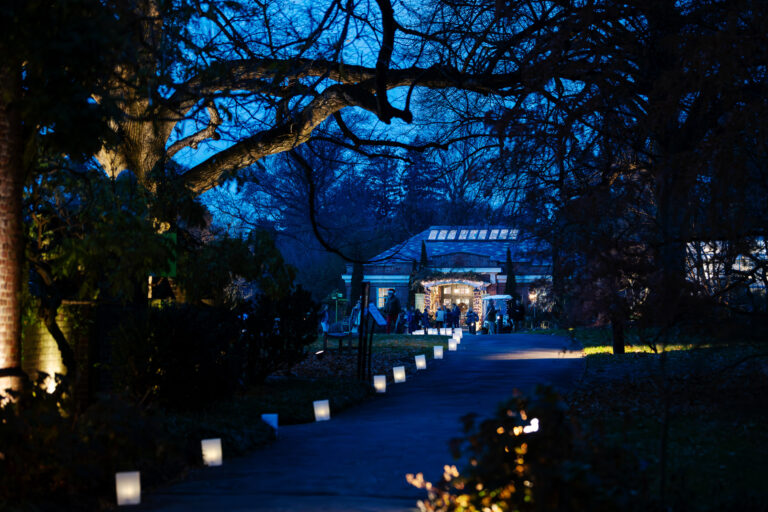 Wave hill Winter Solstice Wishes credit Karsten Moran