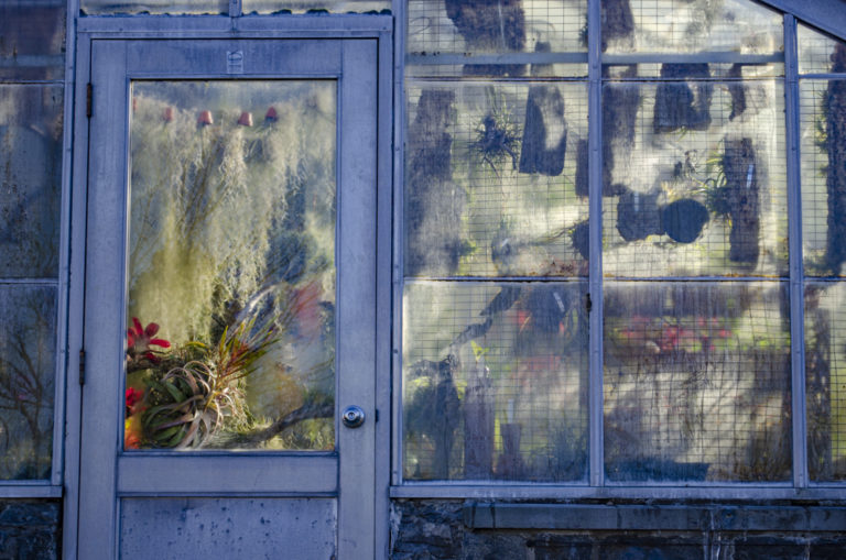 Winter2020 Winter Garden and Conservatory Highlights Walk Wave Hill